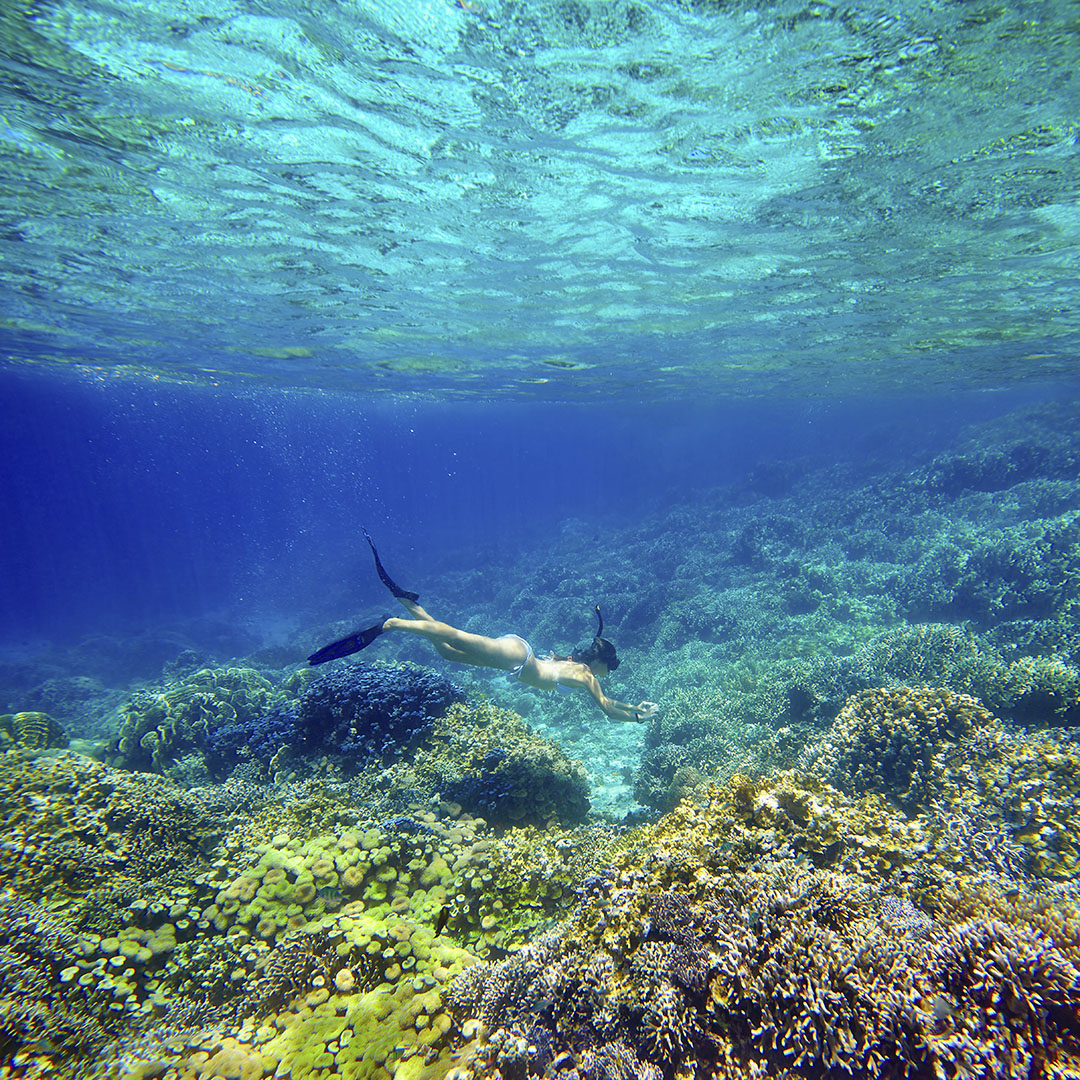 HALF DAY - Snorkeling Safari (from Phuket)