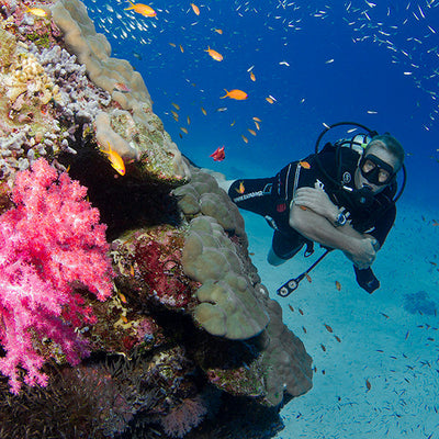 LIVEABOARD 4 days / 3 nights - Similan Islands