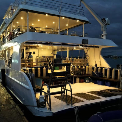 DYKSAFARI - 10 dagar/ 9 nätter - M/V ANDAMAN QUEEN - Phi Phi, Shark Point, Koh Haa, Hin Daeng, Hin Muang, Koh Lipe, Similan, Koh Bon, Tachai, Surin, Richelieu Rock  (max 32 dyk)