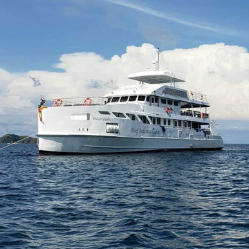 DYKSAFARI - 10 dagar/ 9 nätter - M/V ANDAMAN QUEEN - Phi Phi, Shark Point, Koh Haa, Hin Daeng, Hin Muang, Koh Lipe, Similan, Koh Bon, Tachai, Surin, Richelieu Rock  (max 32 dyk)